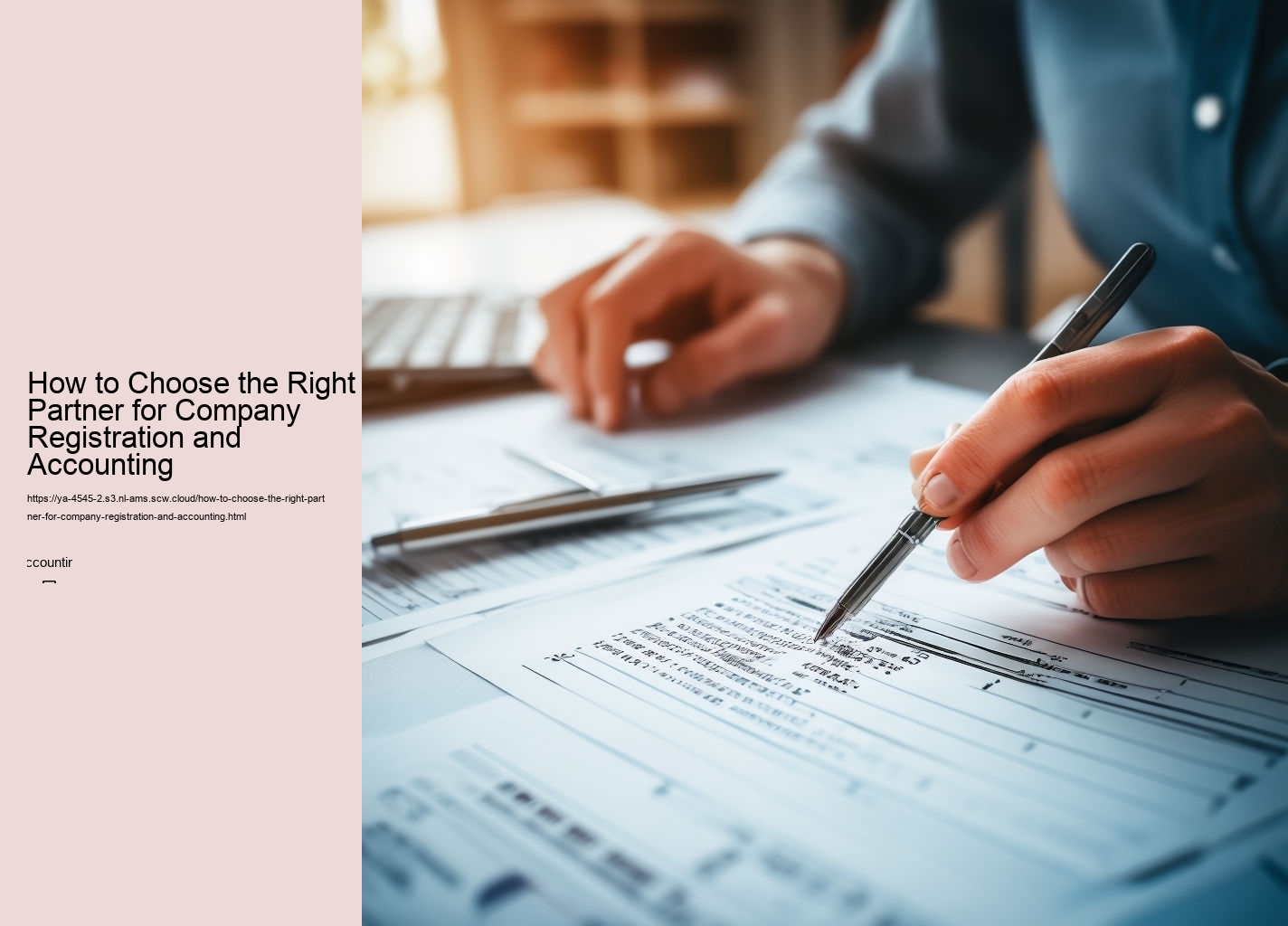 How to Choose the Right Partner for Company Registration and Accounting